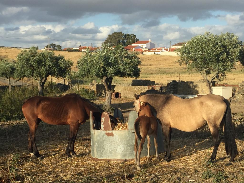 Vila Abetarda Cc São Marcos da Ataboeira Exteriér fotografie