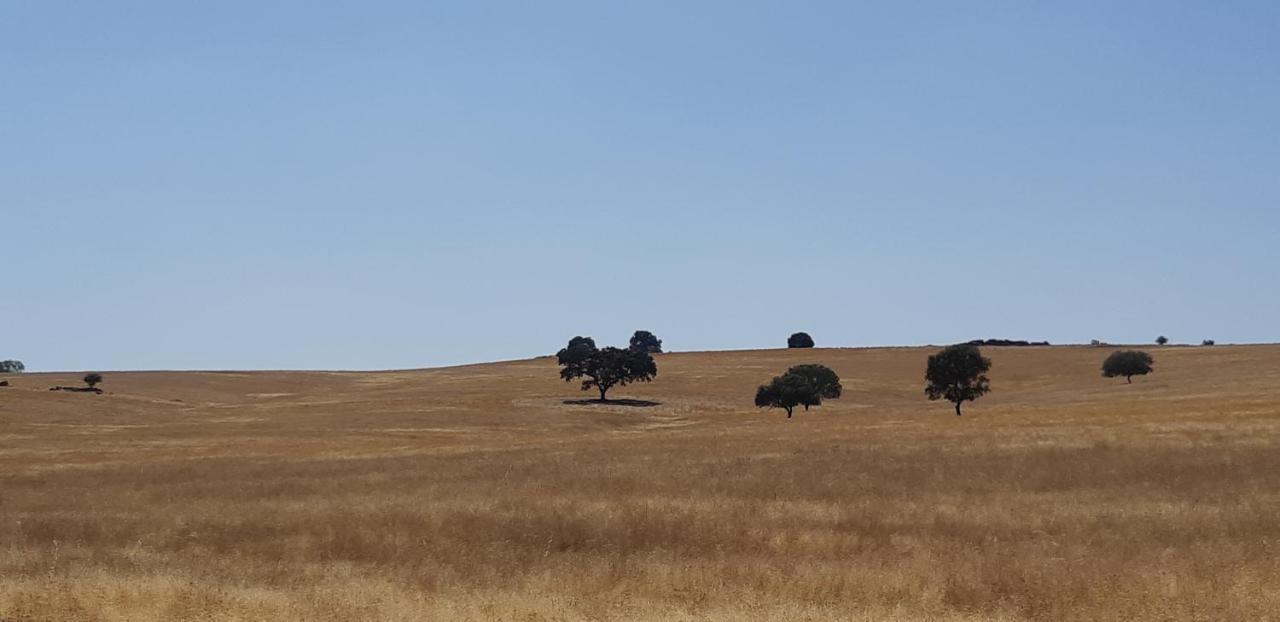 Vila Abetarda Cc São Marcos da Ataboeira Exteriér fotografie
